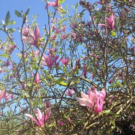 La Magnolia Riccò del Golfo di Spezia Exterior foto