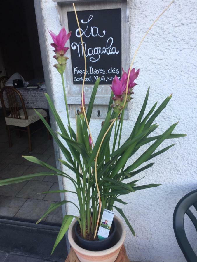 La Magnolia Riccò del Golfo di Spezia Exterior foto